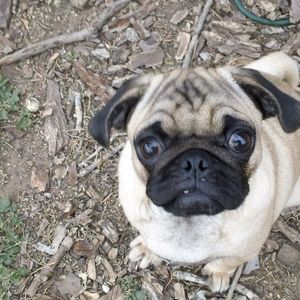 Meet your Posher, Janet